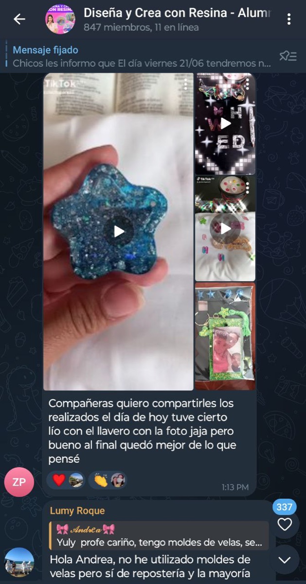 Captura de mensaje de una alumna del curso de resina
