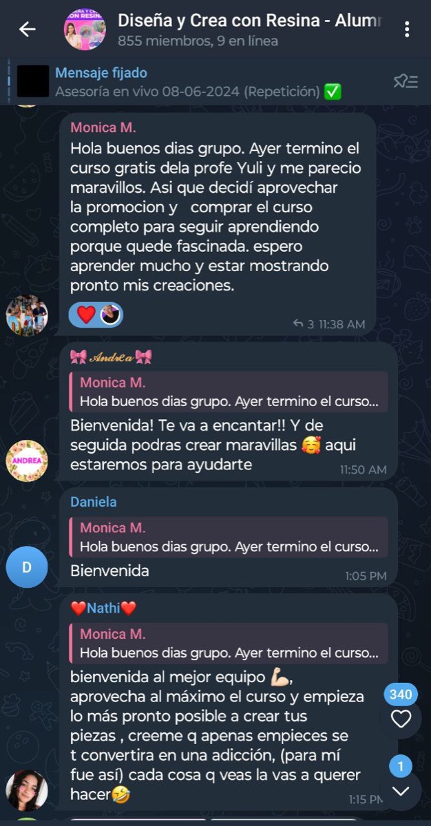 Captura de mensaje de una alumna del curso de resina